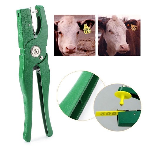 Cattle livestock ear - ear, tag